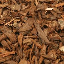 Pygeum Africanum Bark